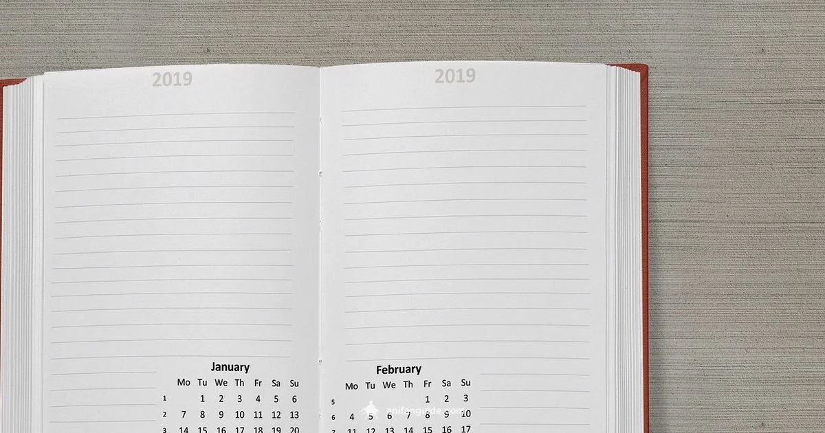 Release Date Guide - AniFanGuide