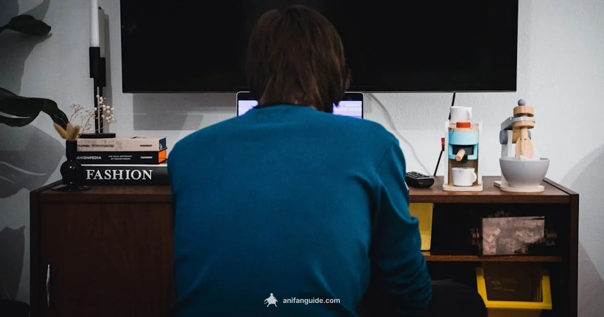 Why Anime Fails - AniFanGuide