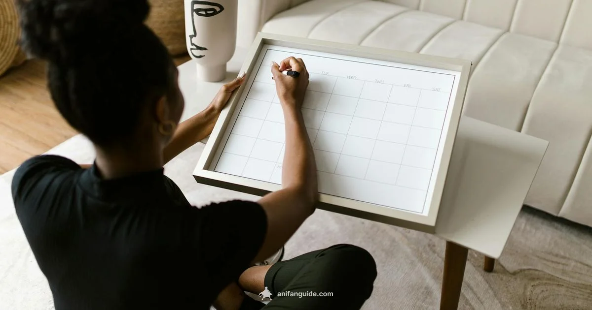 January 2026 Preview - AniFanGuide