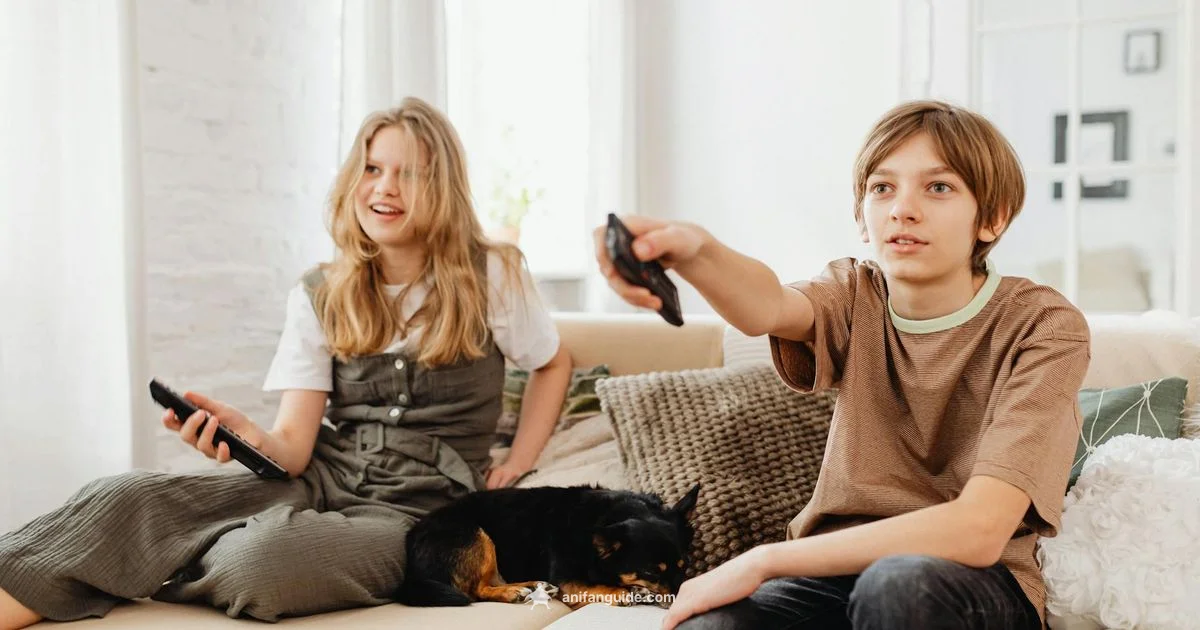 JJK Anime Guide - AniFanGuide