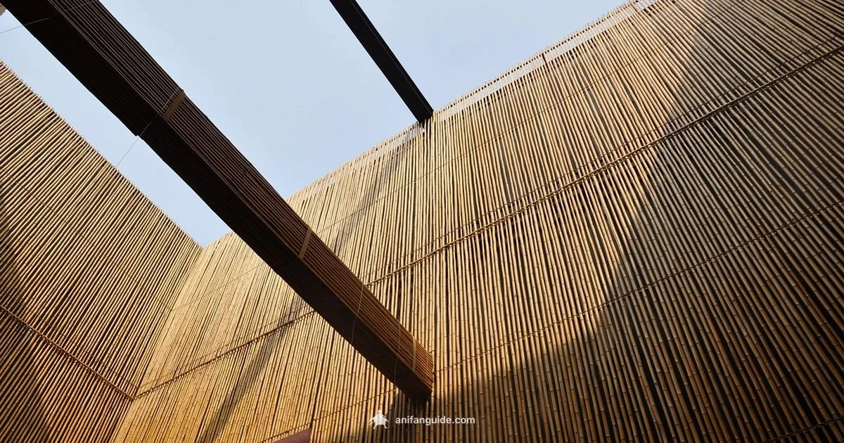 Anime Expo 2026 - AniFanGuide