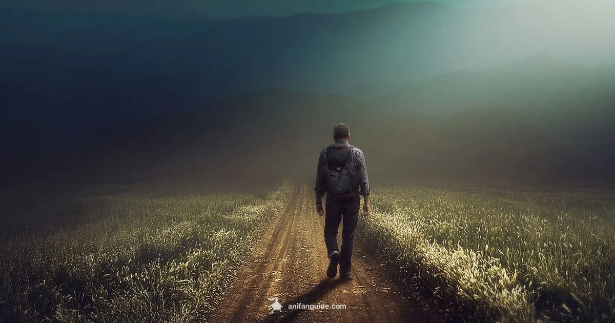 New anime drops - AniFanGuide