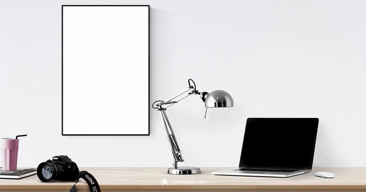 Anime vs Western - AniFanGuide