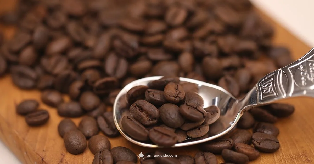 Who Fans Like Anime - AniFanGuide