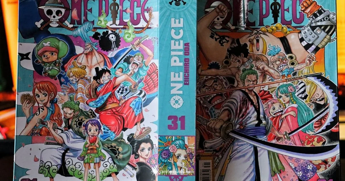 One Piece Watch Guide - AniFanGuide