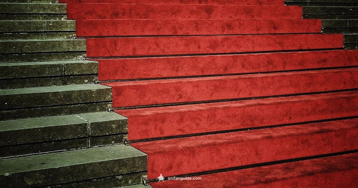 Recent Release - AniFanGuide