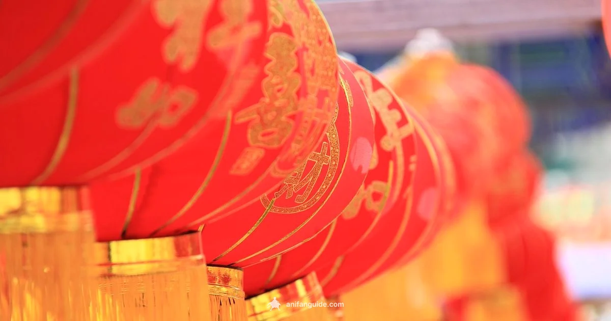 Donghua Essentials Guide - AniFanGuide