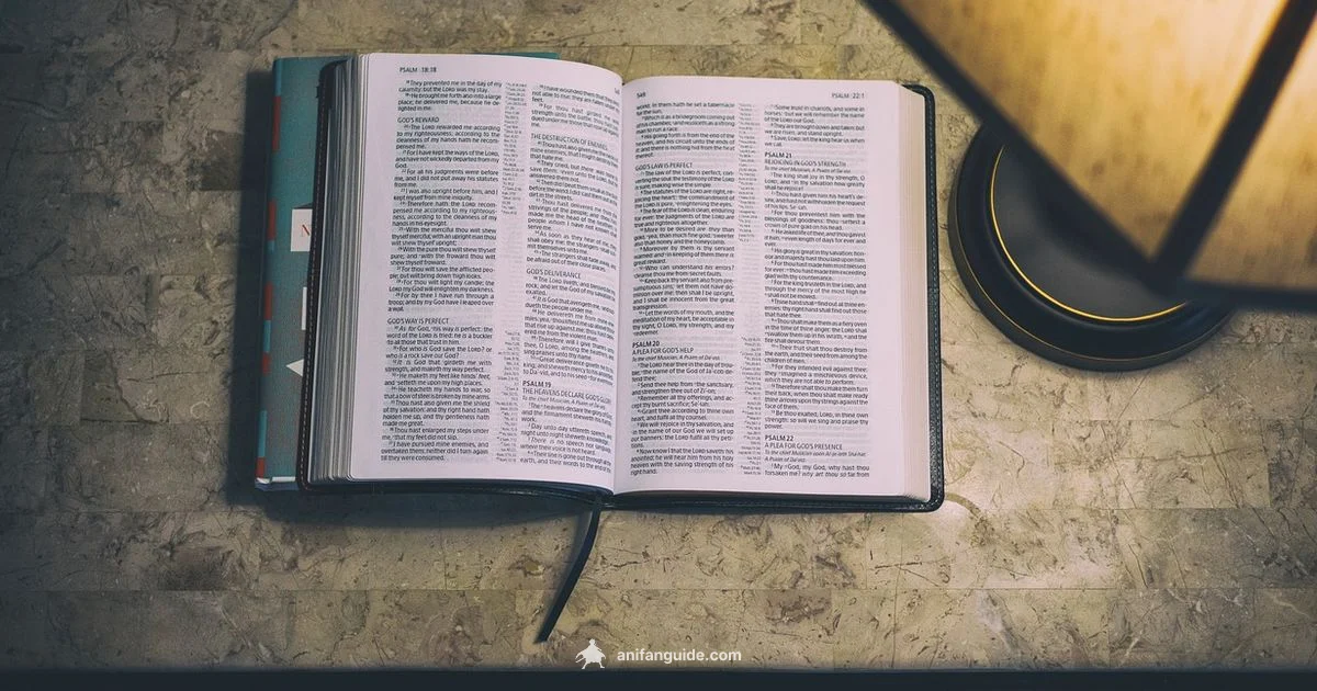 Anime Nerd Identity Anime Nerd Identity - AniFanGuide