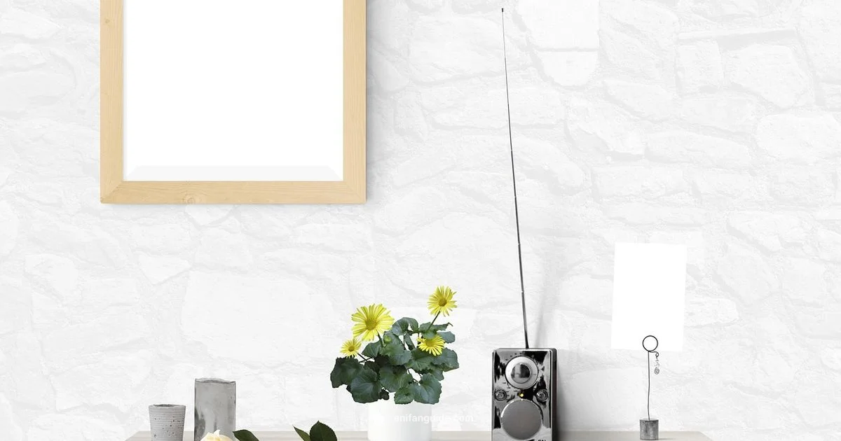 Anime Trailer Insights - AniFanGuide