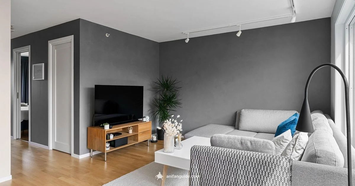 Anime Viewing Insights - AniFanGuide