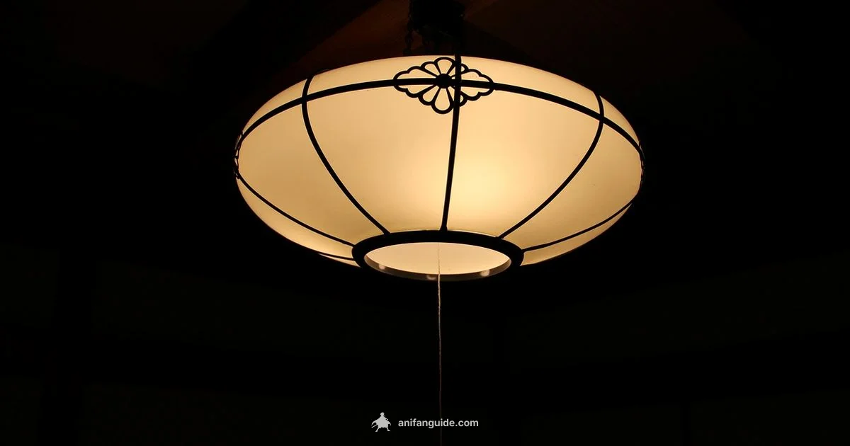 Anime Terms Guide Anime Terms Guide - AniFanGuide