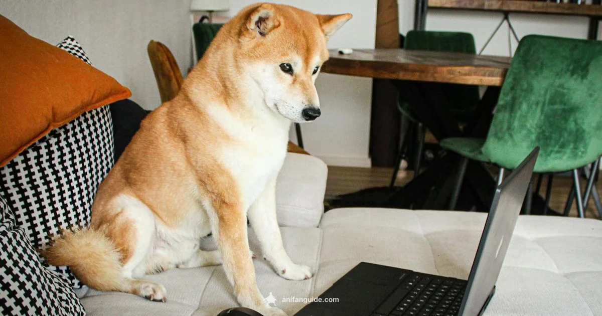 Is Working Anime Worth It - AniFanGuide