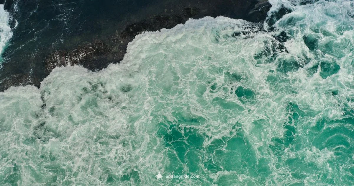 Boruto Movie Guide - AniFanGuide