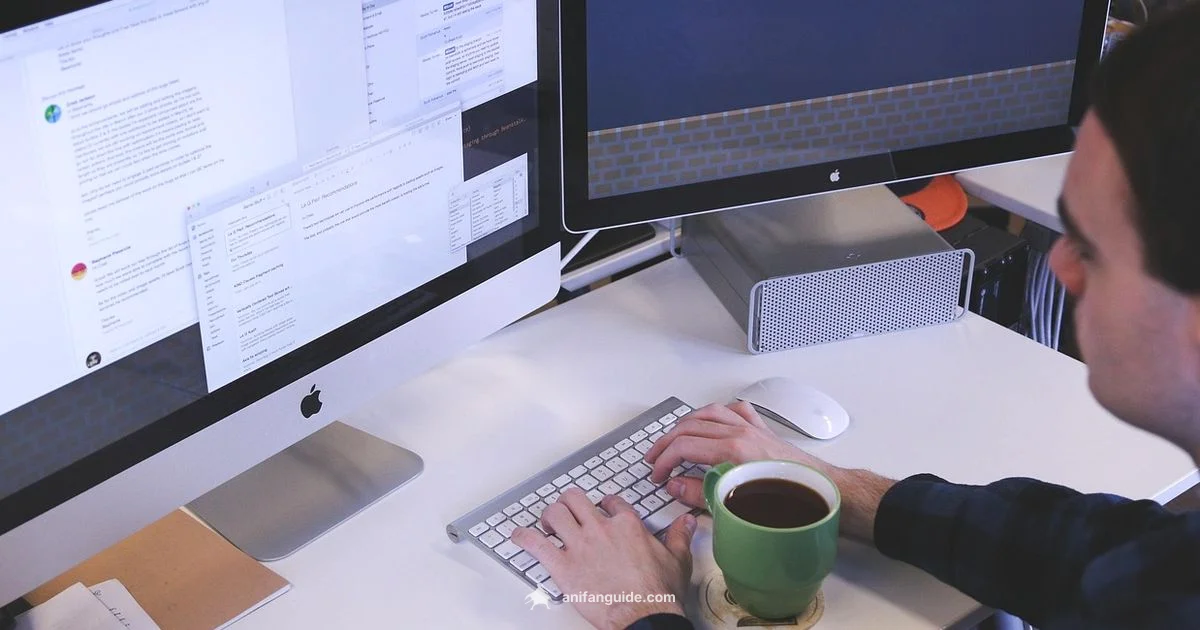 Anime as Art Anime as Art - AniFanGuide