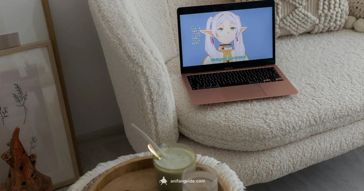 Mood and Anime - AniFanGuide