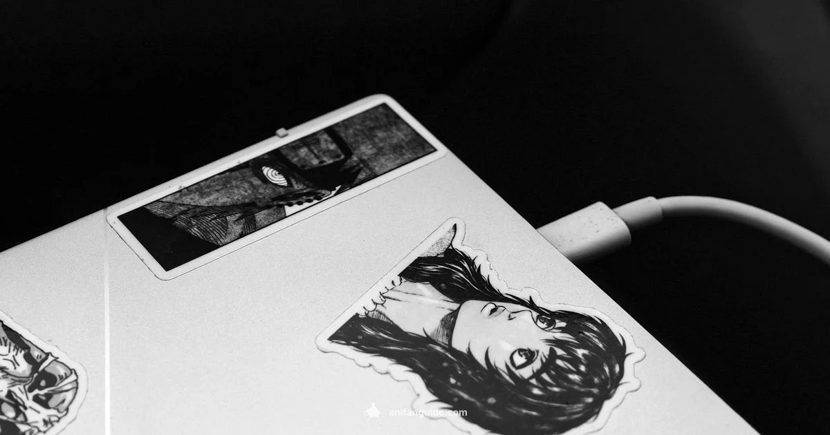 Begin Your Anime Start - AniFanGuide