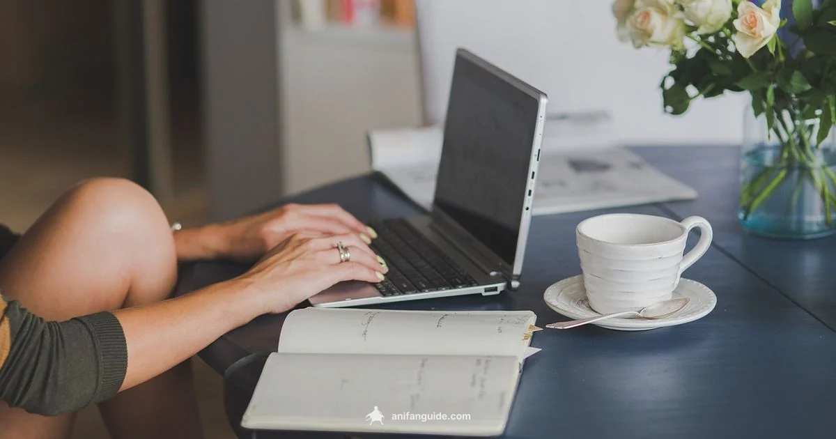 Working Anime Insights - AniFanGuide