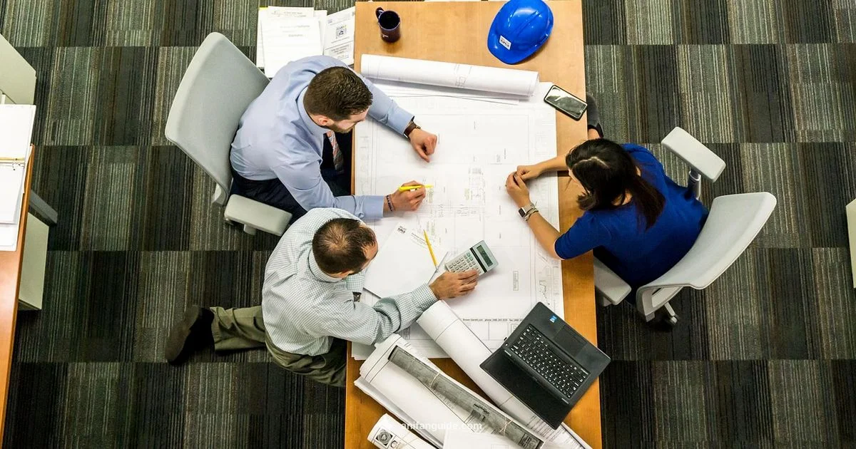 Studio Revenue Map - AniFanGuide