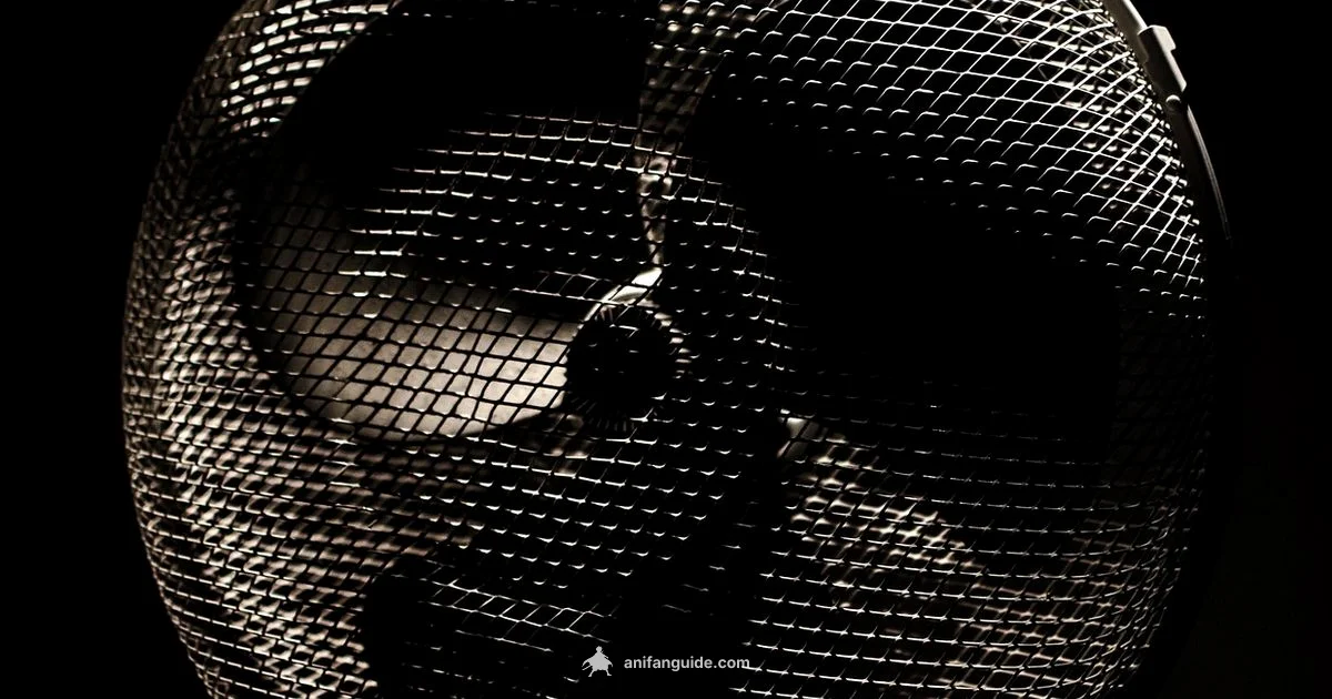 American Anime Wave - AniFanGuide