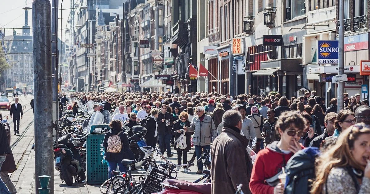 NYC Anime Con - AniFanGuide