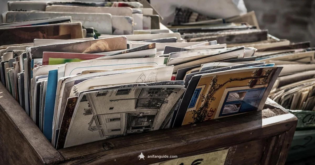 Card Code Guide - AniFanGuide