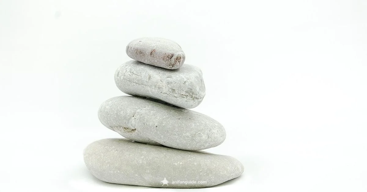 Beat Anime Burnout - AniFanGuide