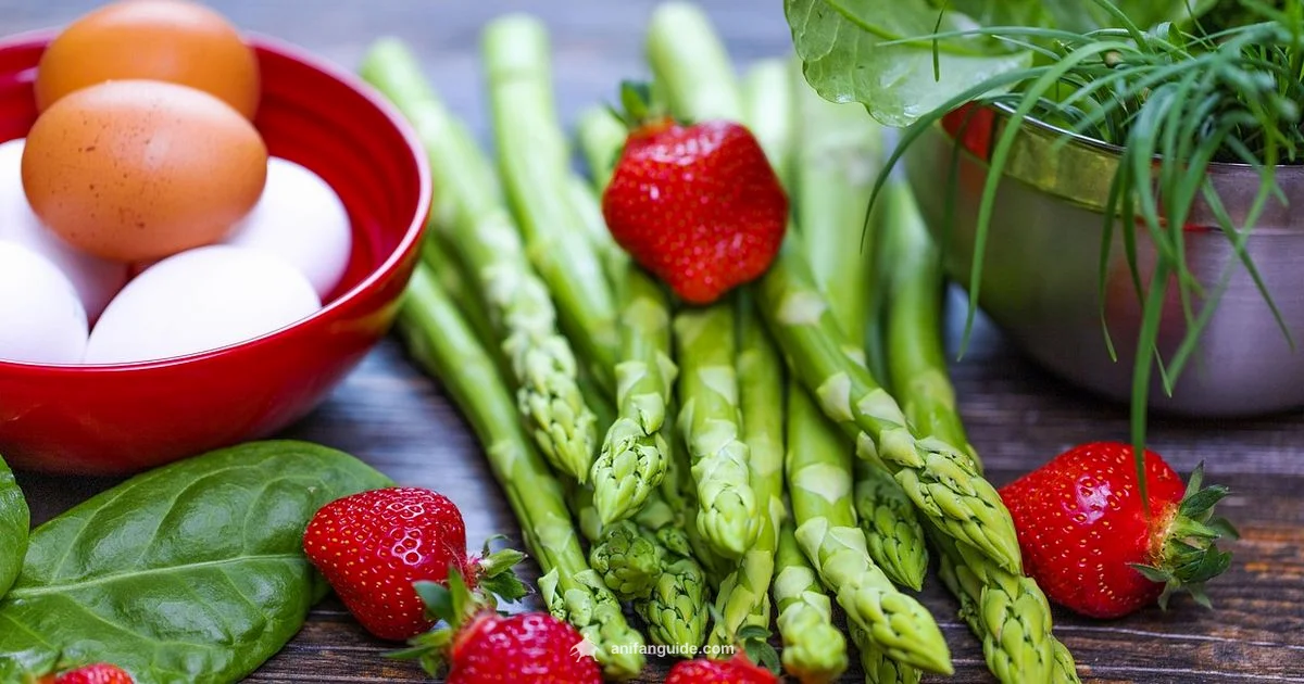 Anemia Basics Anemia Basics - AniFanGuide