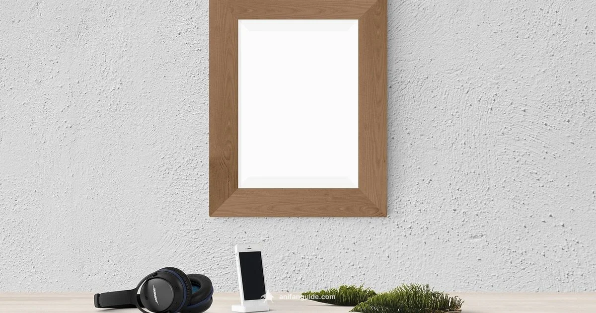 Non Japanese Anime Explained - AniFanGuide