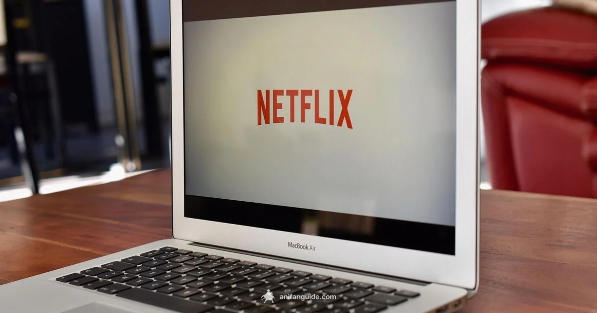 Netflix Anime Catalog - AniFanGuide