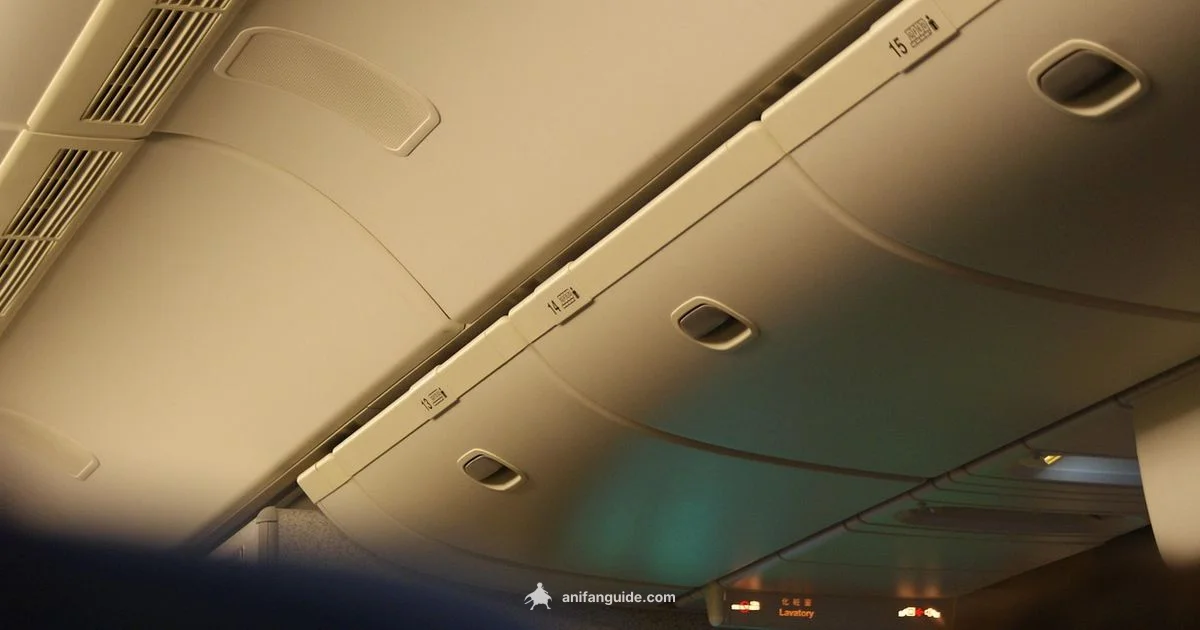 Traveling Figures - AniFanGuide