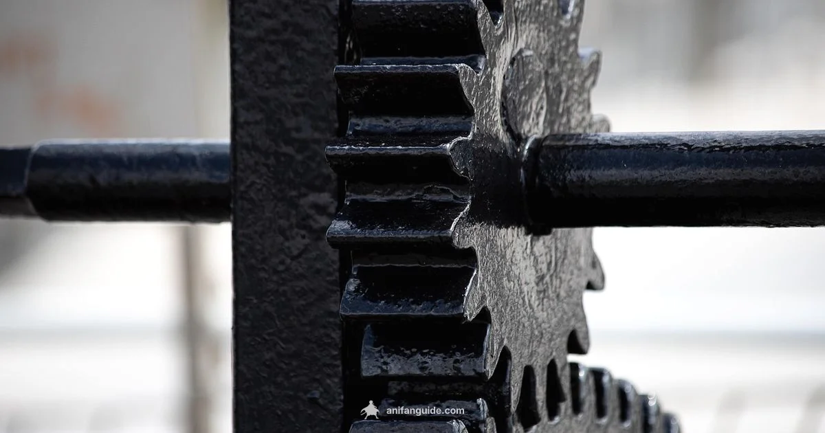 Gear Focus Guide - AniFanGuide