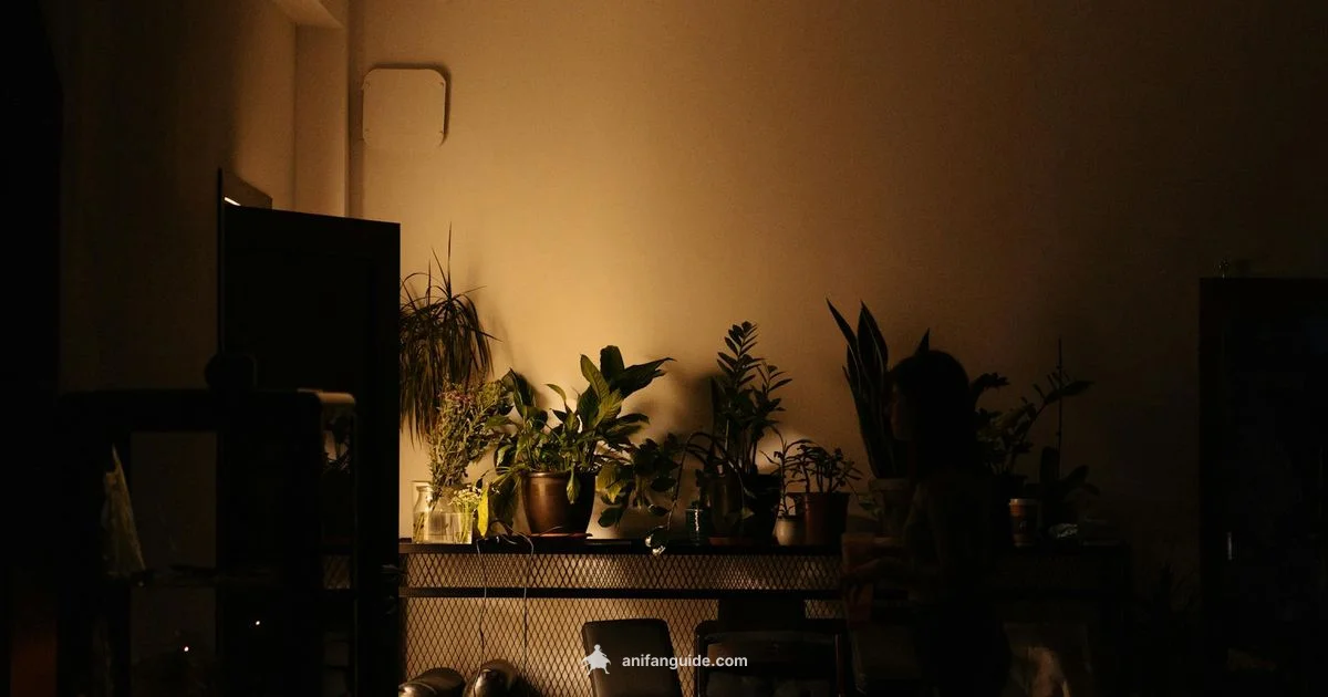 Deadman Anime Guide - AniFanGuide