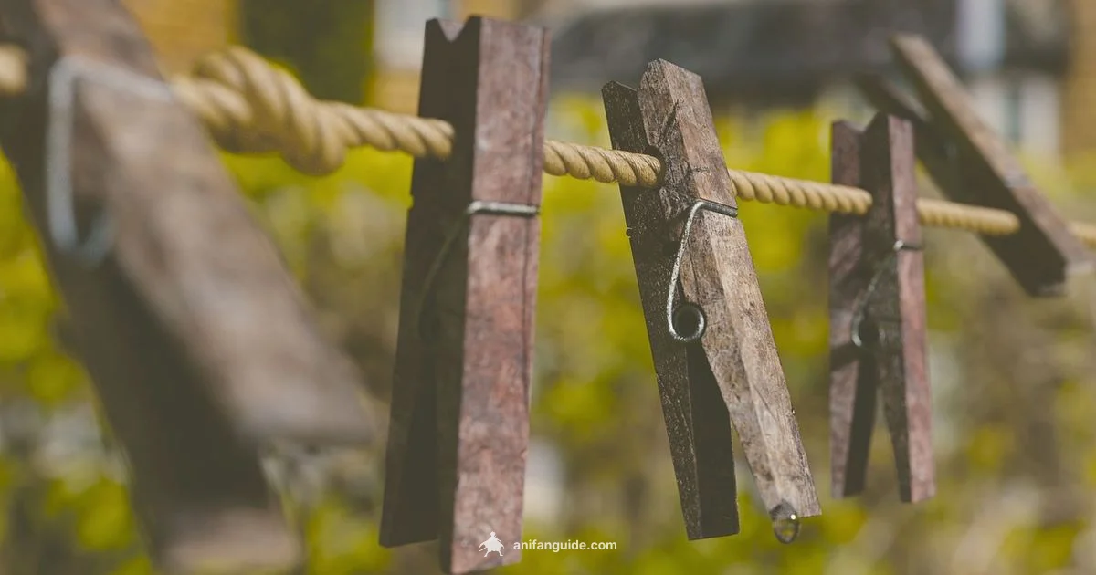 Clip Access Guide - AniFanGuide