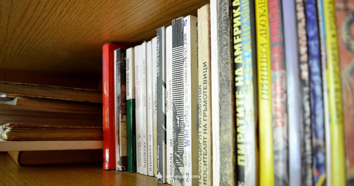 Manga vs Light Novel - AniFanGuide