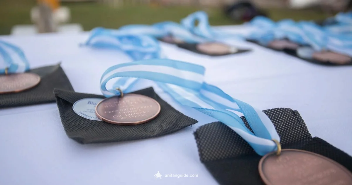 Anime of the Year - AniFanGuide