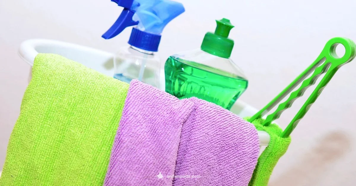 Tapestry Cleaning Guide - AniFanGuide