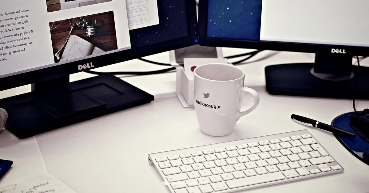 Anime Representation Anime Representation - AniFanGuide