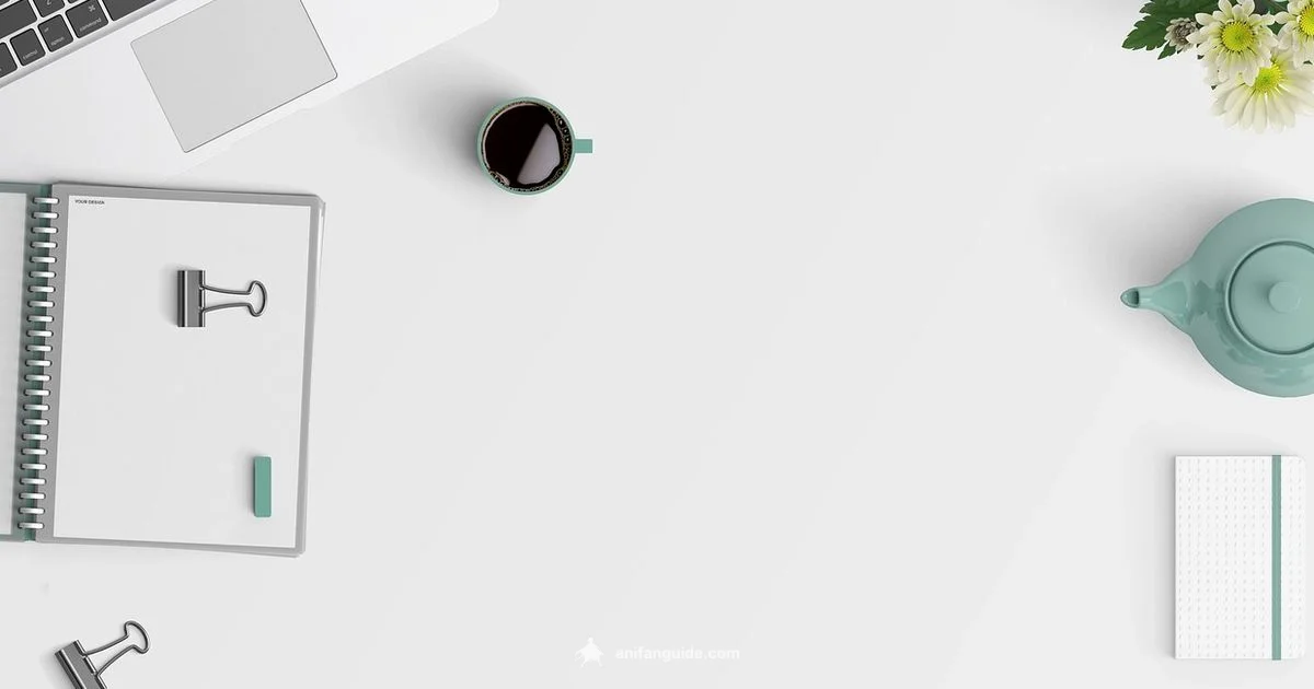 Costs of Anime Episode - AniFanGuide