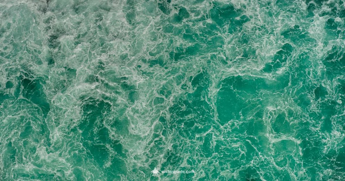 Road to Ninja Overview - AniFanGuide