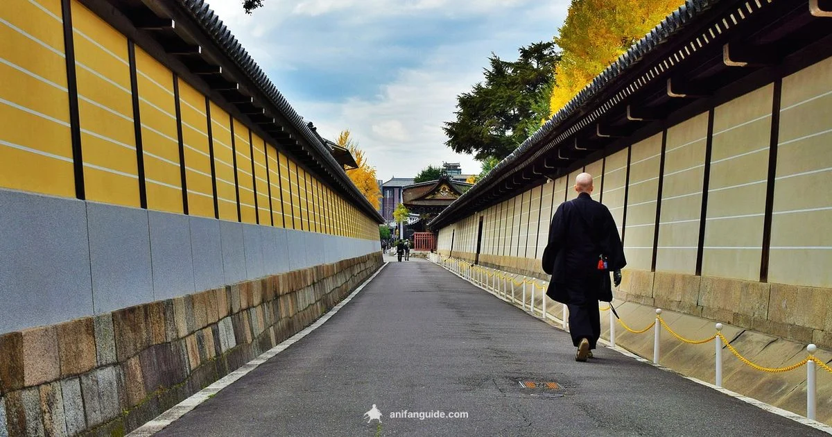 Anime-Free Japan - AniFanGuide