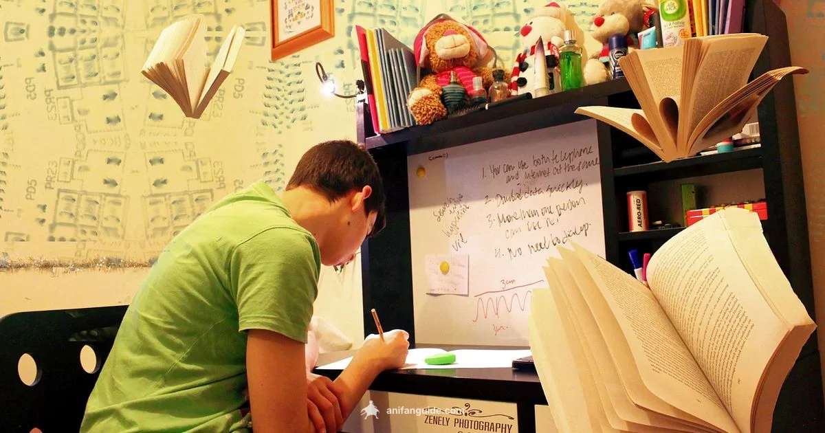 Is It Anime? - AniFanGuide