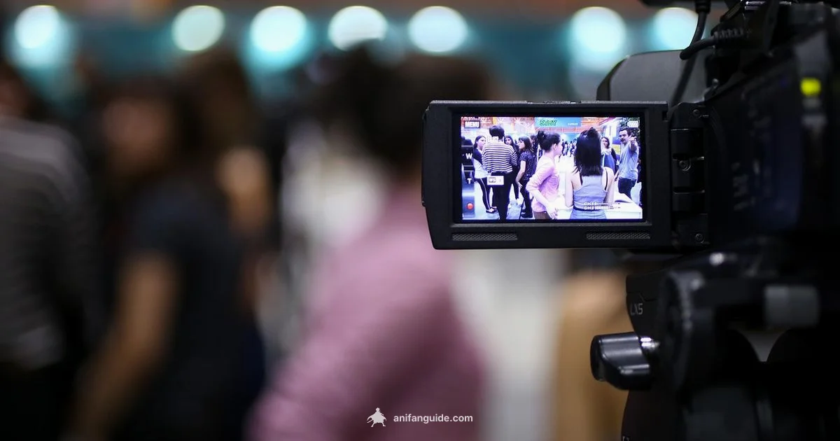 Anime Clips Sourcing - AniFanGuide