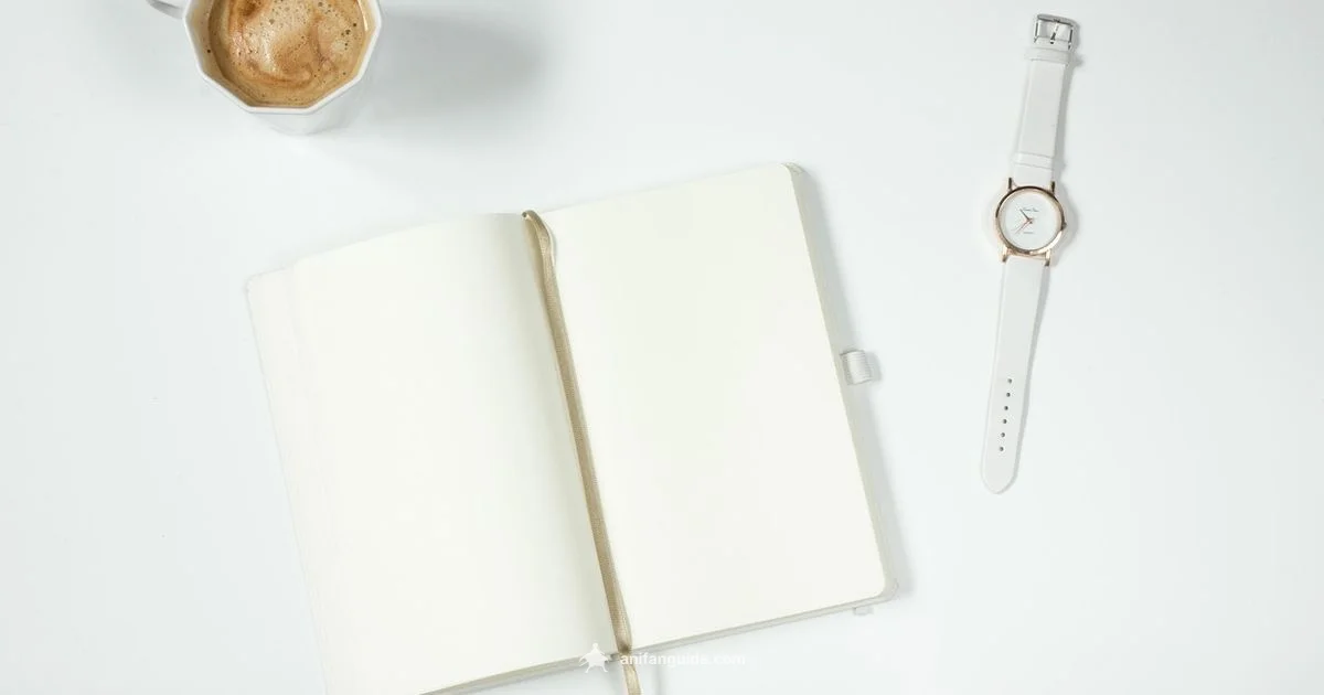 Watch Timing - AniFanGuide