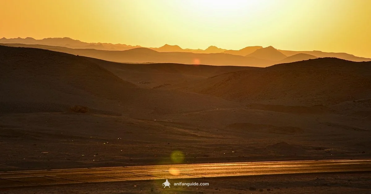 Desert Mummy World - AniFanGuide