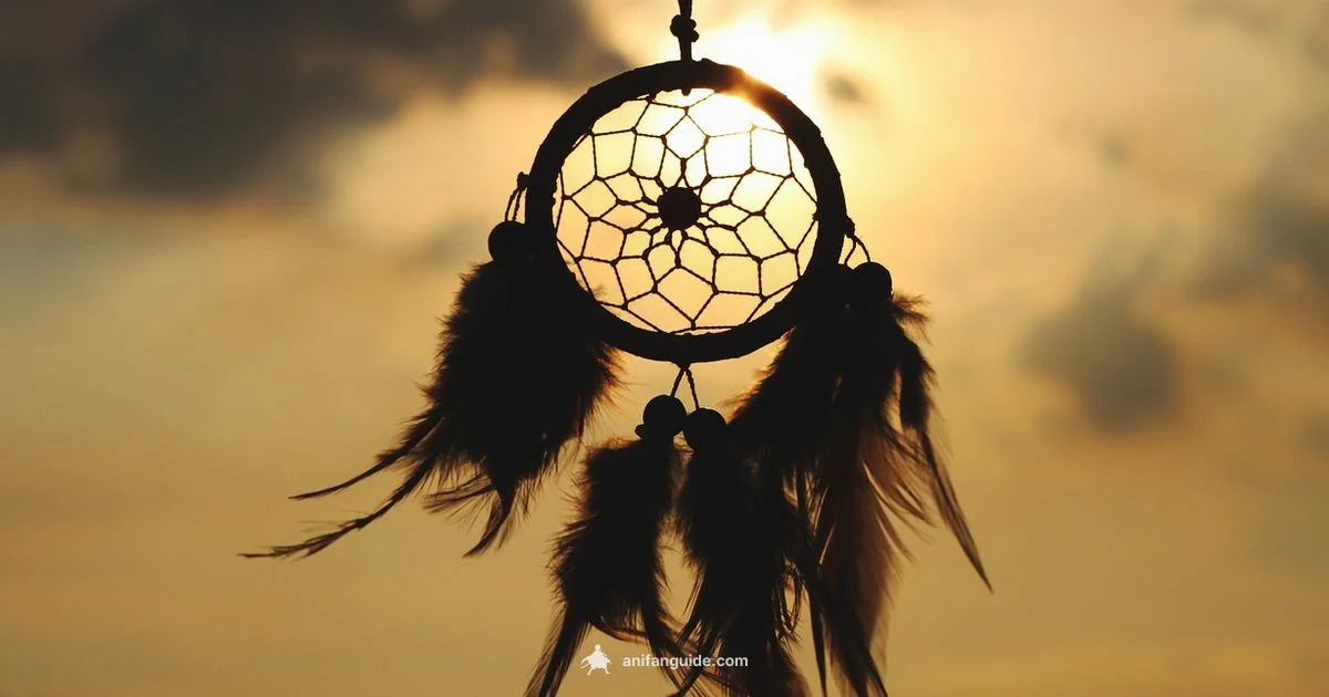 Weird Anime Guide - AniFanGuide