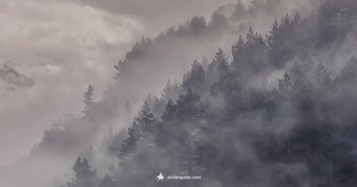 Understanding Mushishi World Understanding Mushishi World - AniFanGuide