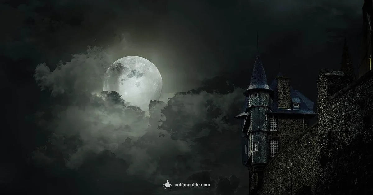 Find Your Next Watch - AniFanGuide