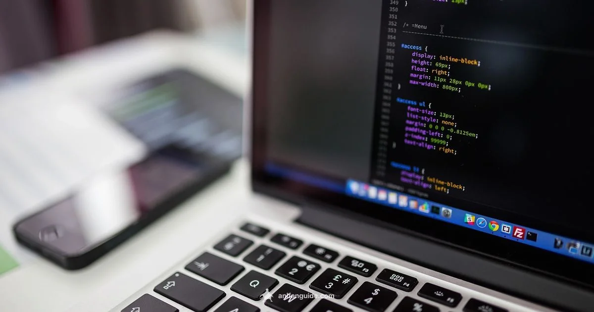 Anime Sauce Codes - AniFanGuide