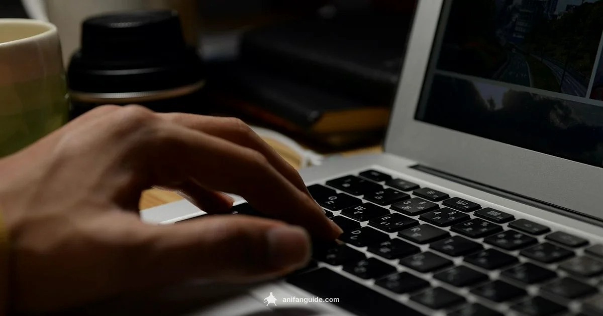 Understand Anime - AniFanGuide