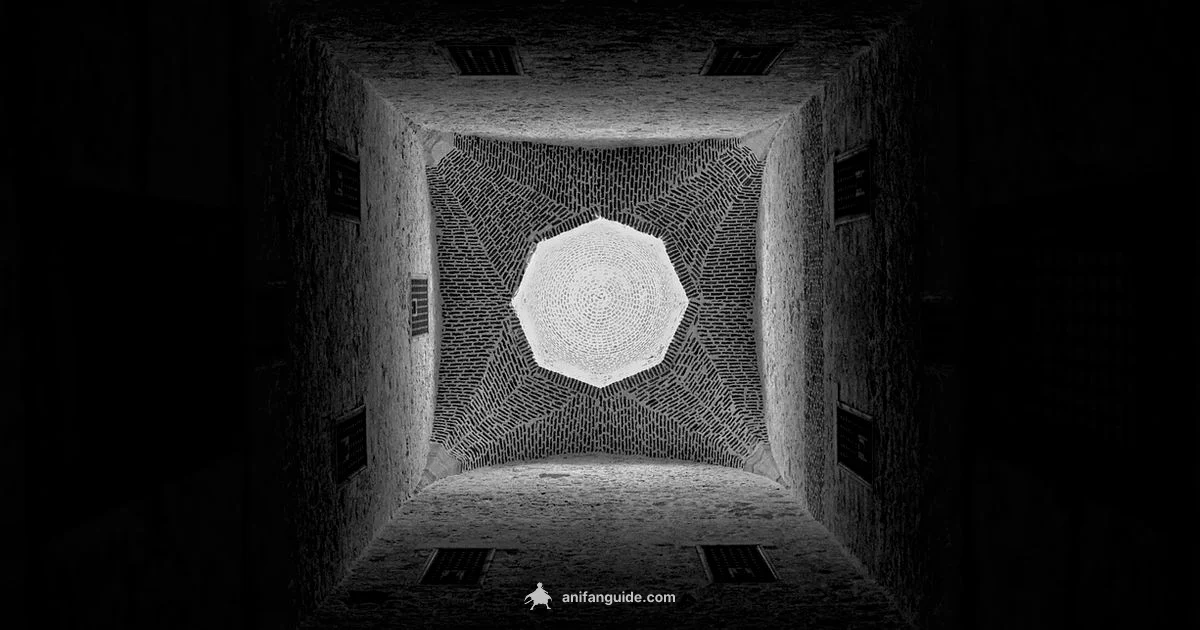 Draw with Respect - AniFanGuide